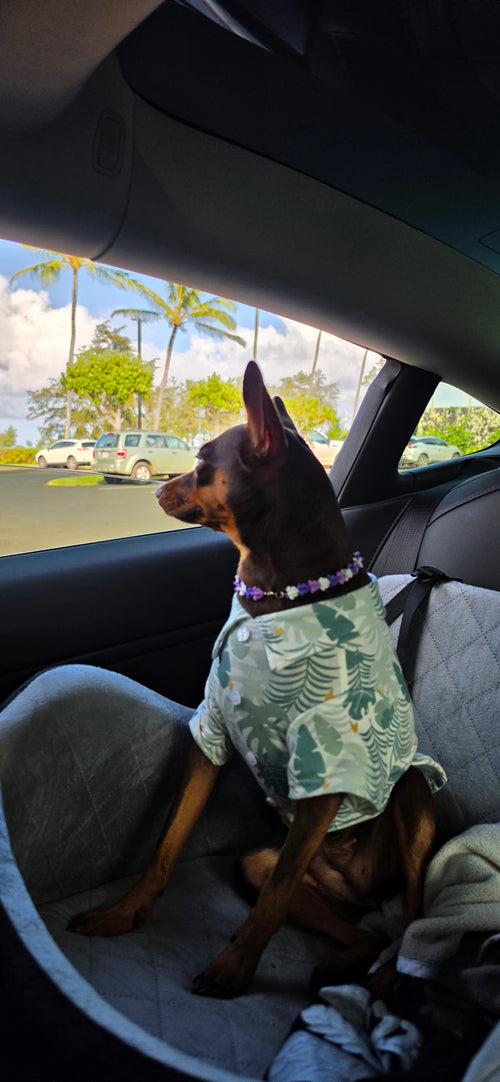 Mini Lei. Single Strand